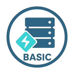 BASIC HOSTING – Small Business LiteSpeed Hosting Icon