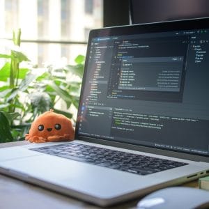Custom Plugin Development