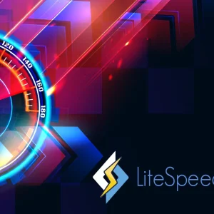 Litespeed WebServer Hosting