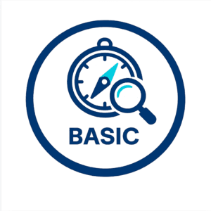 Digital Strategy Sprint Lite (Quick Clarity)