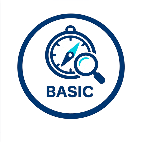 Digital Strategy Sprint Lite (Quick Clarity)